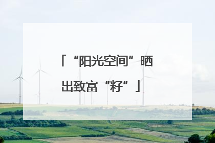 “阳光空间”晒出致富“籽”
